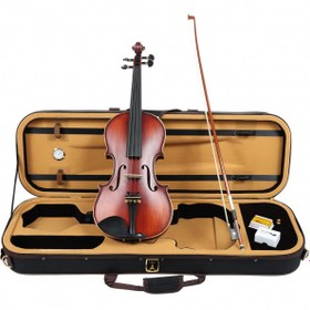 Resim Carlovy VLA8-4/4 Keman (4/4) | Parlak Cila Hareli Arka Kapak 