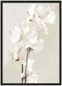 Resim Postifull In Full Bloom Çerçeveli Tablo, Siyah Çerçeve Ve Poster, Dikey Duvar Tablosu Comfort Serisi No:108434;70 X 100 Siyah Çerçeveli 
