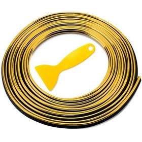 Resim Trim Fitilli Yeni Araç İçi İp Şerit Balık Sırtı Nikelajlı 5 Metre Gold 