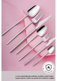 Resim Emsan Destrier 84 Parça 12 Kişilik Kutulu Çatal Kaşık Bıçak Takı Gümüş 