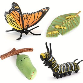Resim 4 adet Kelebek Yaşam Döngüsü Kiti Monarş Kelebeği'nin Yaşam Aşamaları Eğitici Öğretim Araçları Çocuklar Öğrenciler Öğrenme için 