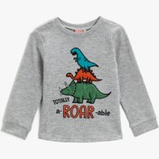 Resim Erkek Bebek Dinozor Baskılı Tişört Uzun Kollu 