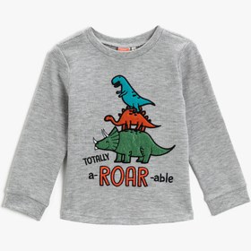 Resim Erkek Bebek Dinozor Baskılı Tişört Uzun Kollu 