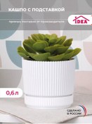 Resim Idea 0,6 L Saksı Tabaklı Sürahi Ve Sukulentler İç 228715893 