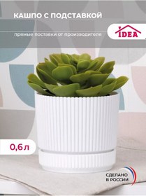 Resim Idea 0,6 L Saksı Tabaklı Sürahi Ve Sukulentler İç 228715893 