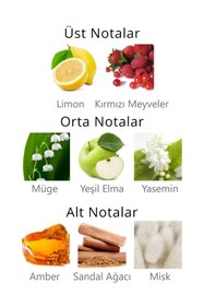 Resim Aqua Di Polo Kadın Vücut Spreyi APCN001504 - Multi / 150 ML 