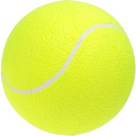 Resim Tenfowee Yeşil Keçe Ve Kauçuk 9.5 İnç Şişme Tenis Topu - Eğlenceli Spor Malzemesi 