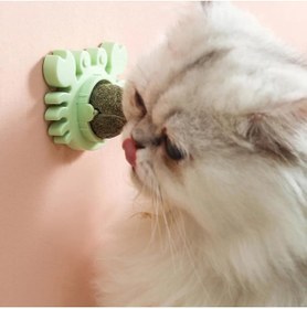 Resim neararsanbizden Yengeç Kedi Otu Oyun Topu 
