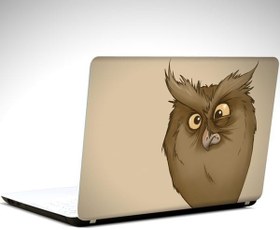 Resim Baykuş Laptop Sticker LS0409 12 İnch (29X24CM) 