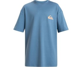Resim Quiksilver Everyday Surf Youth Erkek Çocuk Mavi Likra 