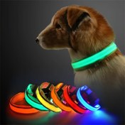 Resim Ayarlanabilir Parlayan Köpek Yaka, Yanan Lüminöz Evcil Hayvan Tasma, Gece Anti-Kaybolma Işık Yaka, Küçük Köpekler için Dayanıklı Poliamid Malzeme, Yansıtıcı Güvenlik Ekipmanı 