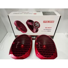 Resim Reiss Oval Midrange Hoparlör - 250W 100RMS Reiss Kayık Midrange 