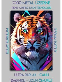 Resim Metal Parlak Baskı - Tiger, Kaplan Dekoratif Tablo 