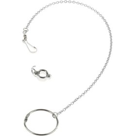 Resim Suntek Papağan Paslanmaz Çelik Sekiz Halkalı Halhal Evcil 10-gümüş 