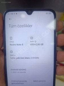 Mümtaz KendirMağaza resmi